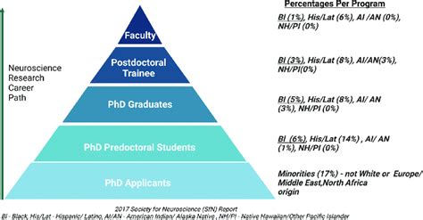 2017 Society Of Neuroscience Sfn Report Showing The Average