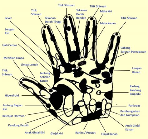 islam: Titik Refleksi pada Tangan
