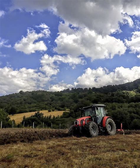 Offerte Vacanze Parco Pollino Offerte Vacanze In Agriturismo Sul Pollino