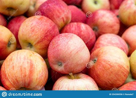 Pink Lady Apples For Sale At City Market Stock Photo Image Of Sunny