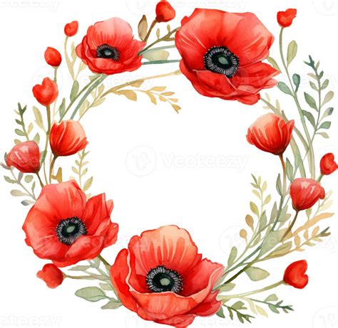 Watercolor Drawing Of Red Poppy Flowers Isolated On White Botanical