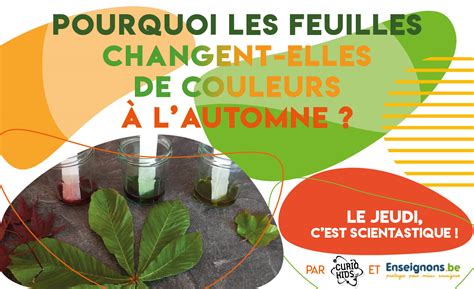 Pourquoi Les Feuilles Changent Elles De Couleurs En Automne