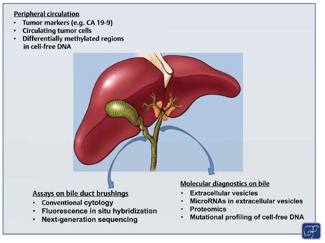 Cancers Free Full Text Current Perspectives On The Surgical