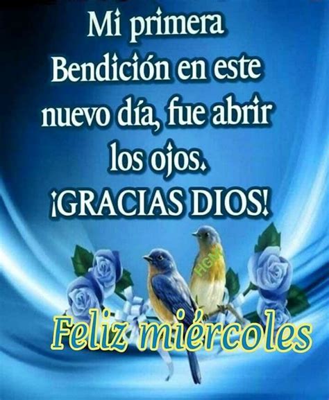 feliz miercoles