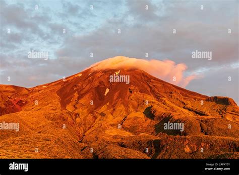 New Zealand, Mount Taranaki volcano at dawn Stock Photo - Alamy