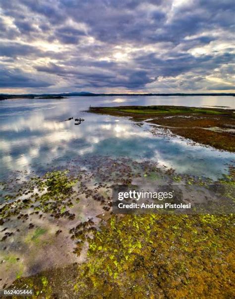 133 Strangford Lough Stock Photos, High-Res Pictures, and Images ...