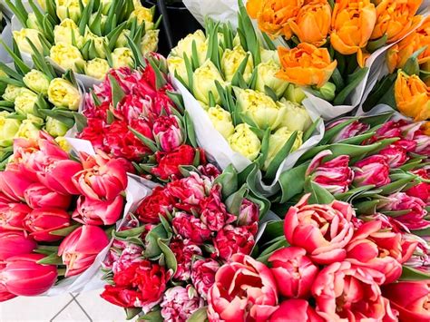 Premium Photo Luxurious Bouquets Of Multi Colored Tulips