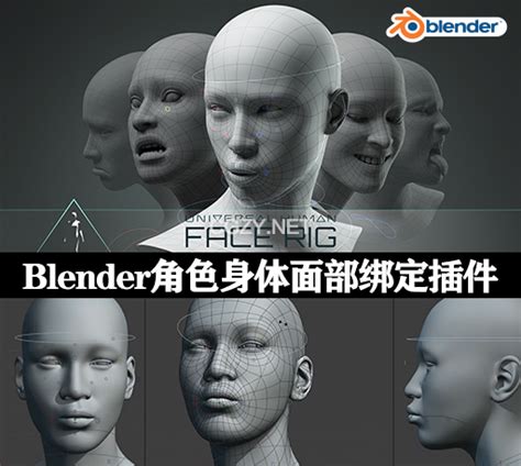 Blender插件人物角色身体面部绑定工具 Universal Human Body And Face Rig V211 Cg资源网