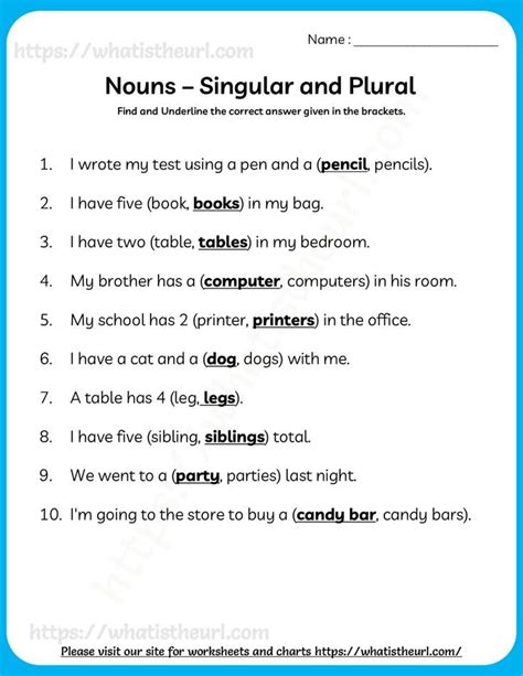 An English Worksheet With The Words Nous Singular And Plural