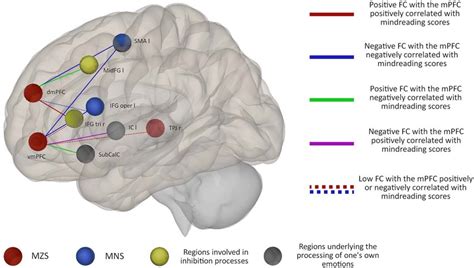 Functional Networks Related To The Dorsal And Ventral MPFC And