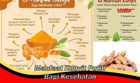 Temukan Manfaat Kunyit Dan Lada Hitam Yang Jarang Diketahui Biotifor