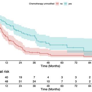 Kaplan Meier Estimate Of Overall Survival Os After Radiotherapy