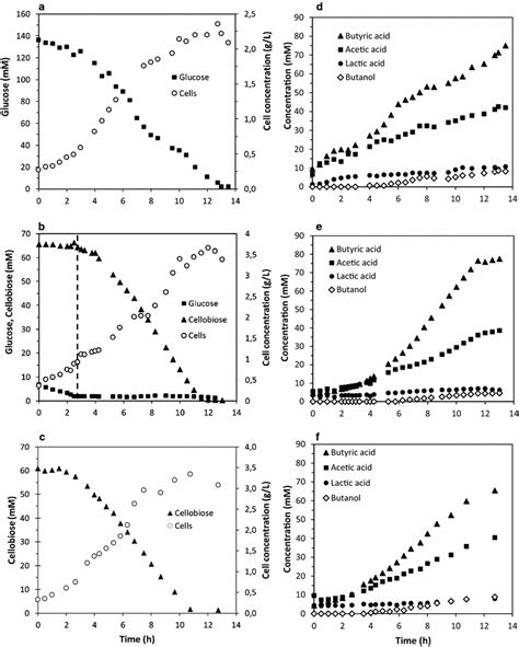 Kinetics of growth and metabolism of glucose or cellobiose as the... | Download Scientific Diagram