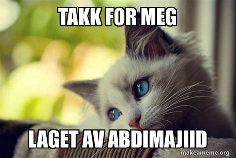 TAKK FOR MEG LAGET AV ABDIMAJIID First World Cat Problems Meme Generator