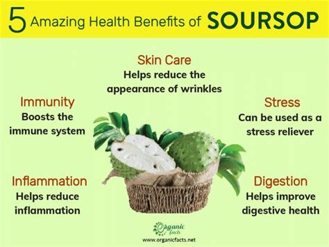 Health Benefits Of Soursop In 2020 Health Benefits Health Health Facts