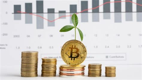 Novo Potencial Ciclo De Alta Do Bitcoin Descubra Em Que Criptomoedas