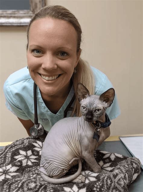 Top Reasons To Take Your Cat To The Emergency Vet