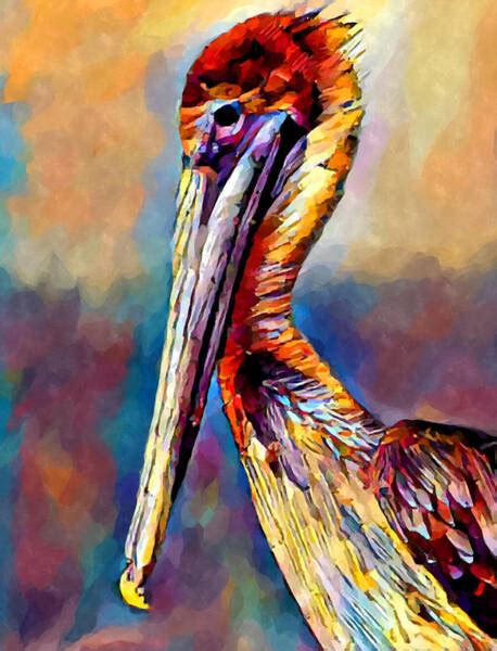 Brown Pelican Paintings Fine Art America