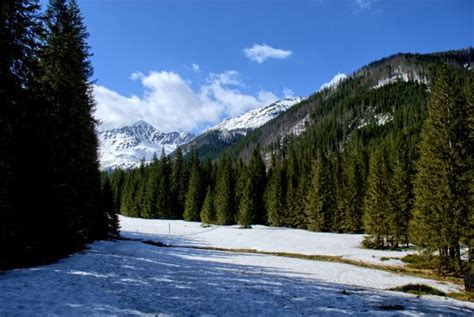 Free Images Landscape Tree Nature Wilderness Winter Trail