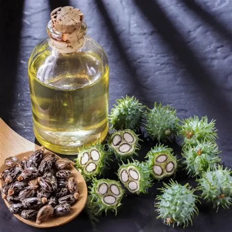 essential     castor oil