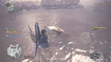 【モンハンワールド】咬魚の大ヒゲ 入手方法 【mhw★攻略】 モンスターハンターワールド：アイスボーン 攻略