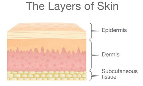 Take These 4 Tips For Accurate Lesion Removal Coding Procedure Coding