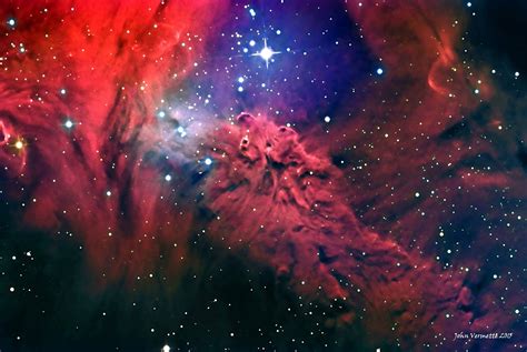 esplaobs: THE FOX FUR NEBULA Image Credit & Copyright: John Vermette