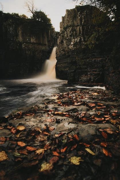 Premium Photo | View of waterfall in autumn