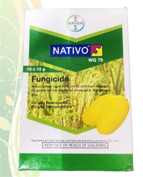 Bayer Nativo Wg 75 Fungicide 100 Grams Lazada Ph