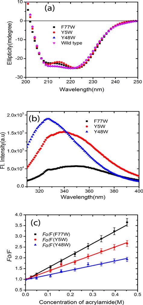 A Far UV CD Spectra Of WT KMP 11 Pink And The Y5W Red F77W