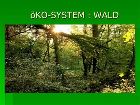 PPT öKO SYSTEM WALD öKO SYSTEM WALD WAS IST öKOSYSTEM WAS IST