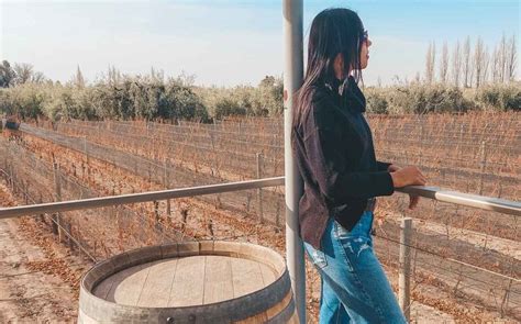 Melhores Vin Colas De Mendoza Para Visitar Em Guia Completo