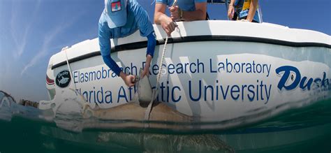 M.S. Marine Science & Oceanography | Florida Atlantic University