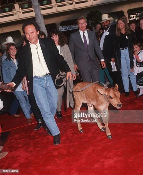 65 Billy Crystal 1991 Photos & High Res Pictures - Getty Images