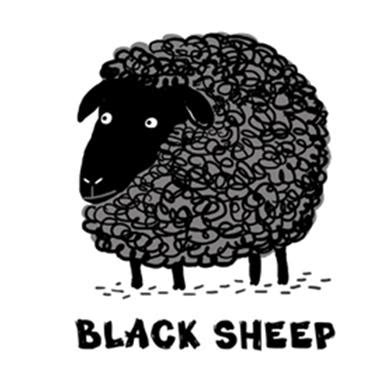 English Idiom of the Day – A black sheep « English with Jo