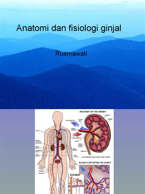 Anatomi Dan Fisiologi Ginjal Ppt