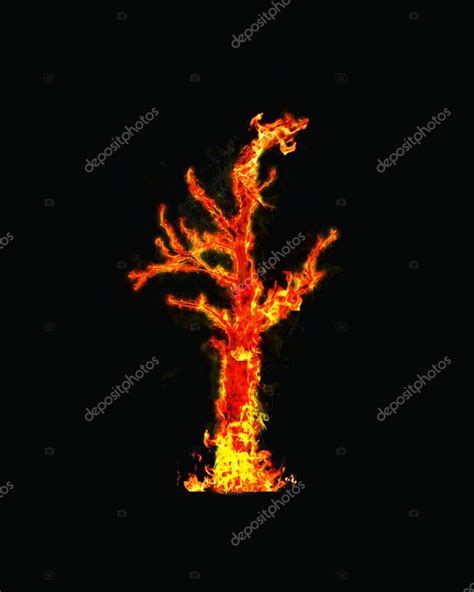 Fire tree — Stock Photo © gasaz76 #3143292