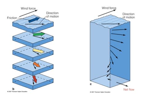 Ocean Circulation Flashcards Quizlet