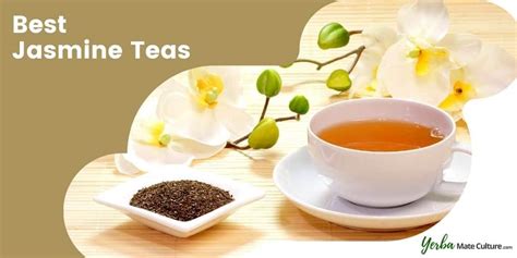 Best Jasmine Tea Brands Green White And Pure Jasmine