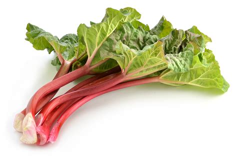 A Closer Look At Rhubarb By Jack Mcnulty Veganweekly