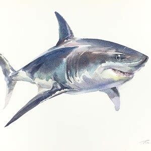 Shark Original Art Watercolor Painting Gift Artwork Home - Etsy