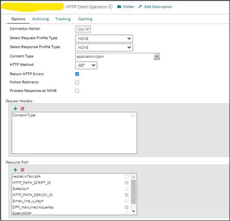 Boomi NetSuite Connector White Glove Consulting Group LLC