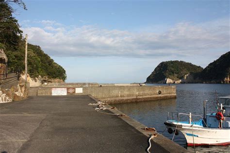 岩地港の詳細情報伊豆の釣果速報、おすすめ釣りスポットを詳しく写真で紹介