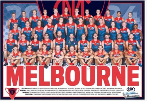 Laminated 2024 Melbourne Demons Afl Football Team Poster Big