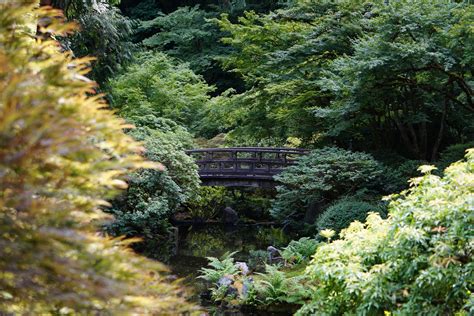 The Art Of The Japanese Garden History Culture De 11