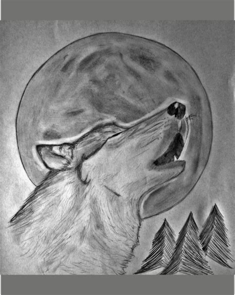 Morbosidad Ofensa Industrial Lobo Aullando A La Luna Dibujo A Lapiz