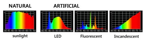 comparing natural light and artificial light - Sunlight Inside