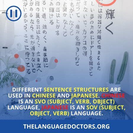 linguistic differences  chinese  japanese tld