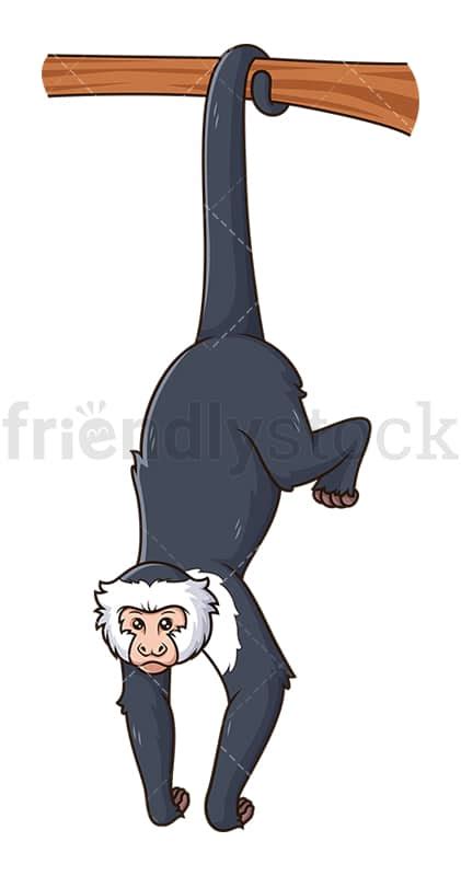 Capuchin Monkey Hanging With Tail Cartoon Clipart Vector - FriendlyStock