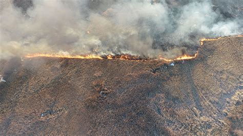 Grass Fires Singe Southeast The Carillon